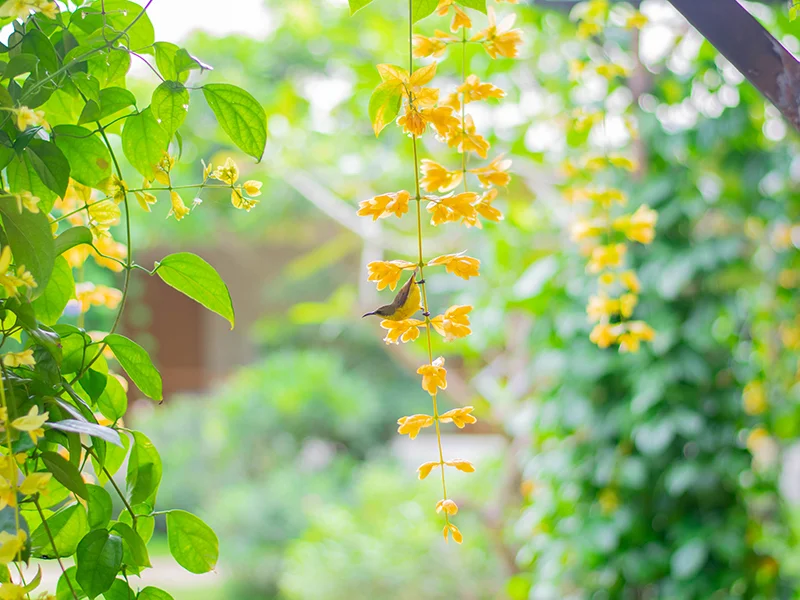 สภาพแวดล้อม